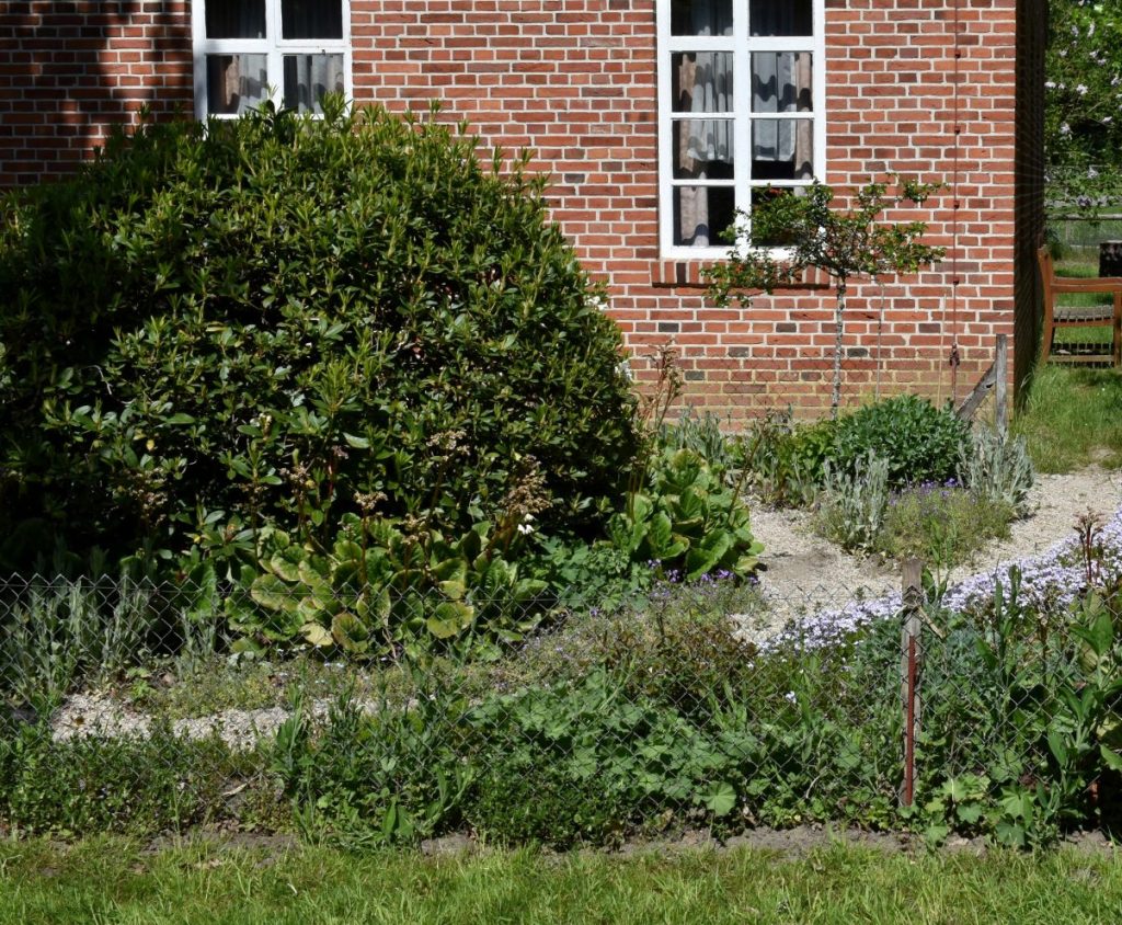 A brick house and garden flourish in the sunlight.